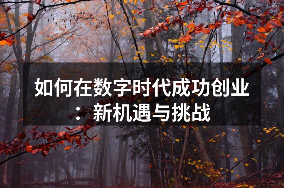 如何在数字时代成功创业：新机遇与挑战
